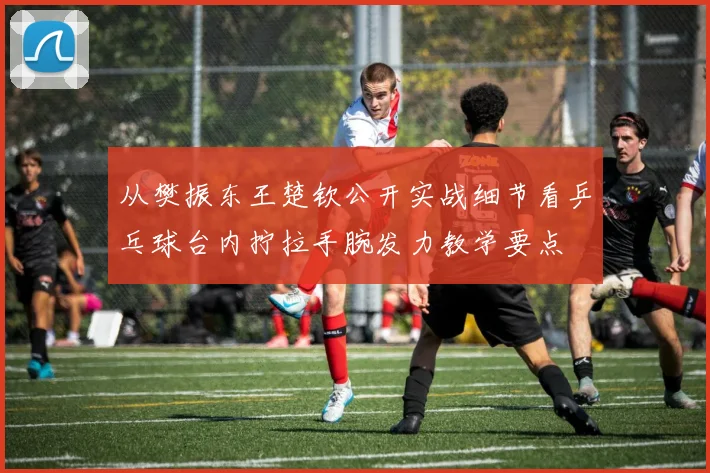 从樊振东王楚钦公开实战细节看乒乓球台内拧拉手腕发力教学要点
