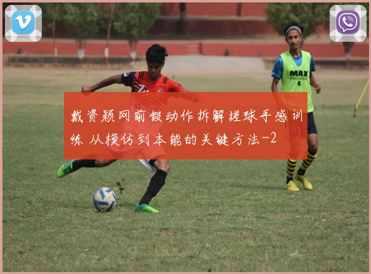 戴资颖网前假动作拆解搓球手感训练 从模仿到本能的关键方法