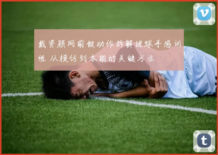 戴资颖网前假动作拆解搓球手感训练 从模仿到本能的关键方法