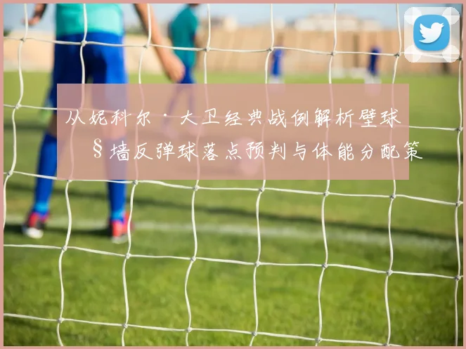 从妮科尔·大卫经典战例解析壁球侧墙反弹球落点预判与体能分配策略